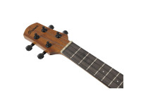 Ibanez AUT10-OPN Ibanez AUT10-OPN